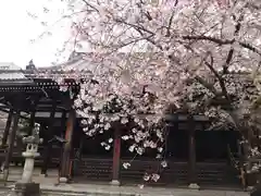 本法寺(京都府)