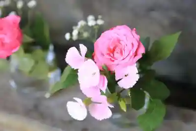 厚別神社(北海道)