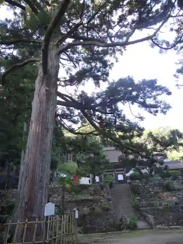 天恩寺(愛知県)