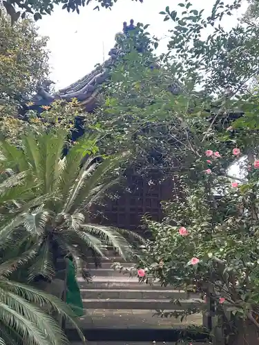 竜谷寺(東京都)