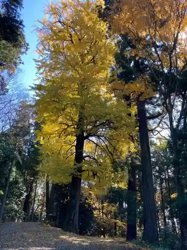 国上寺(新潟県)