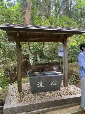 八幡神社の{uncategorized: "未分類", other: "その他", undefined: "問題あり", building: "その他建物", grave: "お墓", sacred_gate: "鳥居", guardian: "狛犬", statue: "像", buddha: "仏像", history: "歴史", nature: "自然", garden: "庭園", animal: "動物", pagoda: "塔", temizu: "手水舎", mountain_gate: "山門・神門", sanctuary: "本殿・本堂", subordinate: "末社・摂社", art: "芸術", scenery: "景色", jizo: "地蔵", ema: "絵馬", goshuin: "御朱印", omikuji: "おみくじ", items: "授与品その他", amulet: "お守り", goshuincho: "御朱印帳", eats: "食事", festival: "お祭り", votive_dance: "神楽", shichigosan: "七五三参", wedding: "結婚式", experience: "体験その他", initially: "初詣", around: "周辺", anti_infection: "感染症対策"}