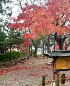 蚊里田八幡宮(長野県)(2024年11月27日(水) 11時24分19秒投稿)