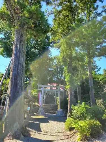 隠津島神社の末社