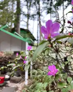 白石神社(北海道)(2024年04月20日(土) 11時39分52秒投稿)