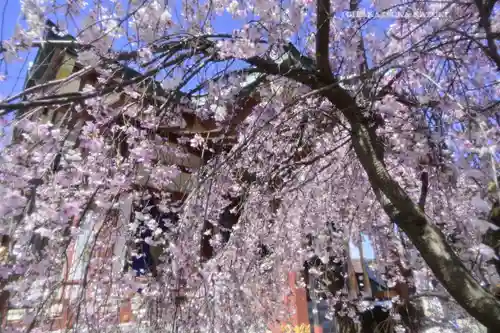 千住神社(東京都)