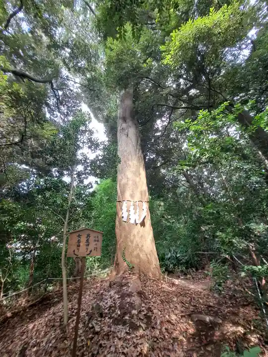 大甕神社(茨城県)