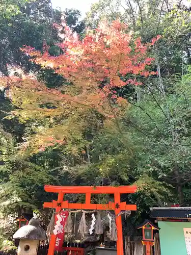 賣布神社の鳥居