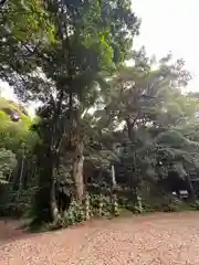 日吉神社の建物その他