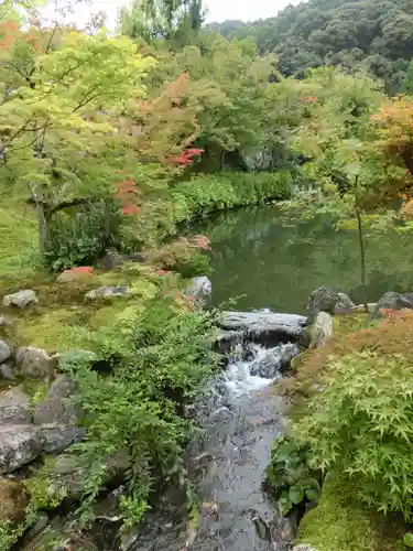 禅林寺（永観堂）の庭園