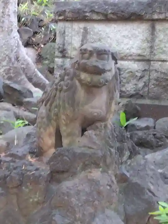 鳩森八幡神社の狛犬