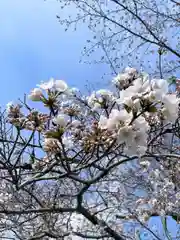 上関山 極楽寺(神奈川県)