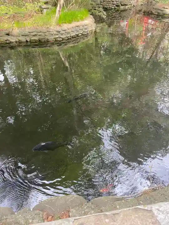白石神社の動物