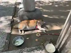 笠䅣稲荷神社(神奈川県)