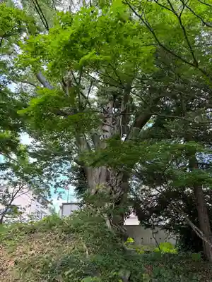 恵日寺(福島県)