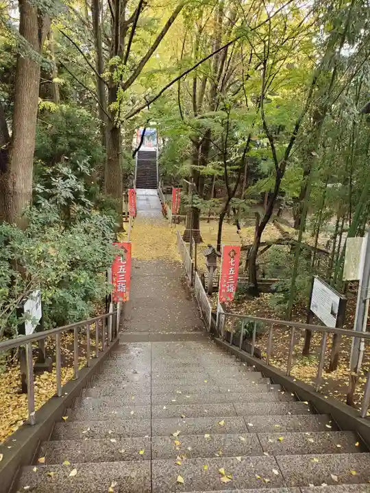 下総国三山 二宮神社の自然