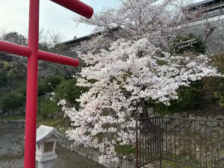神咒寺の{uncategorized: "未分類", other: "その他", undefined: "問題あり", building: "その他建物", grave: "お墓", sacred_gate: "鳥居", guardian: "狛犬", statue: "像", buddha: "仏像", history: "歴史", nature: "自然", garden: "庭園", animal: "動物", pagoda: "塔", temizu: "手水舎", mountain_gate: "山門・神門", sanctuary: "本殿・本堂", subordinate: "末社・摂社", art: "芸術", scenery: "景色", jizo: "地蔵", ema: "絵馬", goshuin: "御朱印", omikuji: "おみくじ", items: "授与品その他", amulet: "お守り", goshuincho: "御朱印帳", eats: "食事", festival: "お祭り", votive_dance: "神楽", shichigosan: "七五三参", wedding: "結婚式", experience: "体験その他", initially: "初詣", around: "周辺", anti_infection: "感染症対策"}