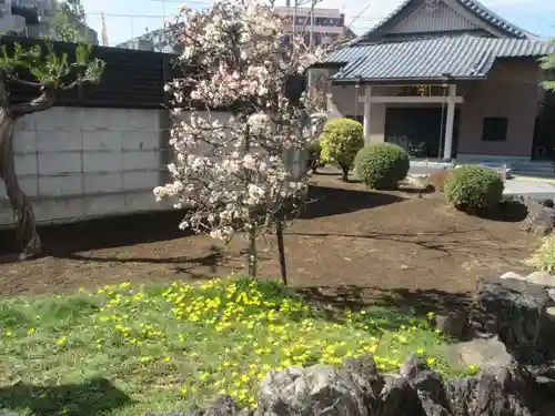 清涼寺(東京都)