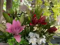 彌彦神社 (伊夜日子神社)の手水舎