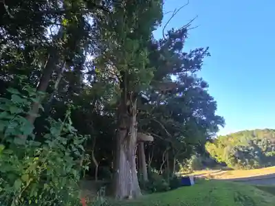 粟鹿神社(兵庫県)