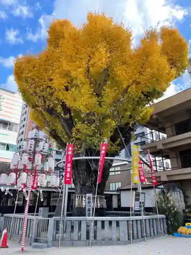 櫛田神社の自然