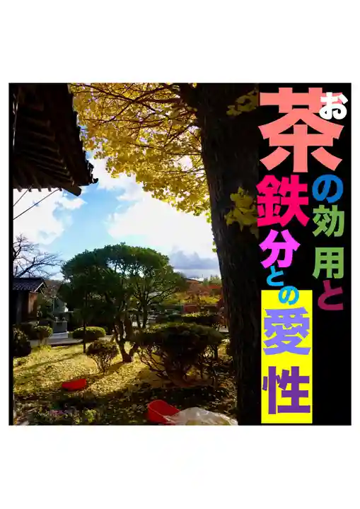 耕田院(山形県)