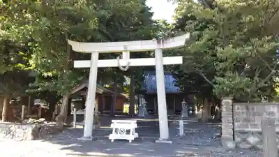 大井神社の鳥居