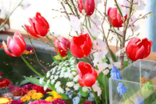 三津厳島神社の手水舎