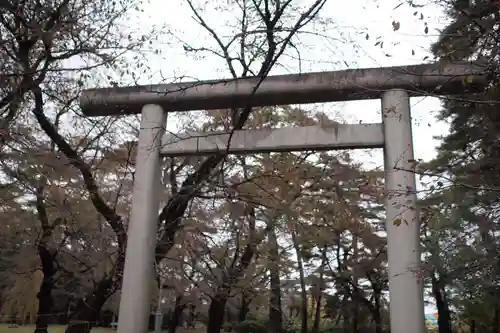 埼玉縣護國神社の鳥居