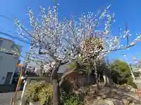 東本願寺 堺南御坊(大阪府)