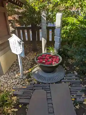 行田八幡神社(埼玉県)