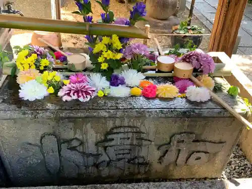 勝林寺の手水舎