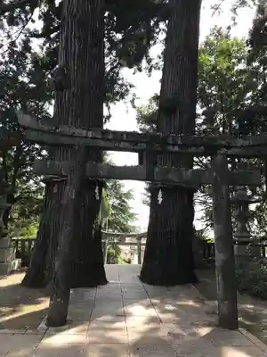 八幡朝見神社の鳥居