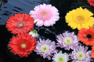 大鏑神社の手水舎