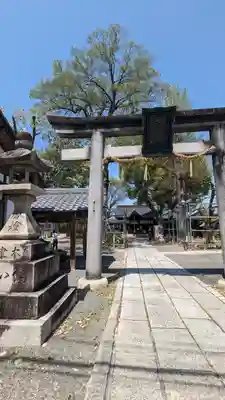 縣神社の鳥居