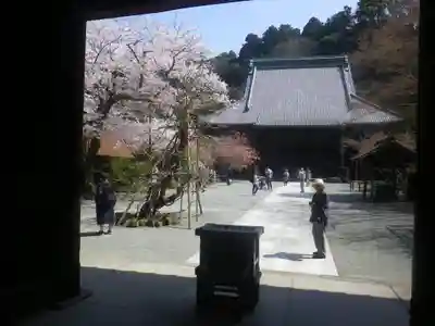 妙本寺のその他建物