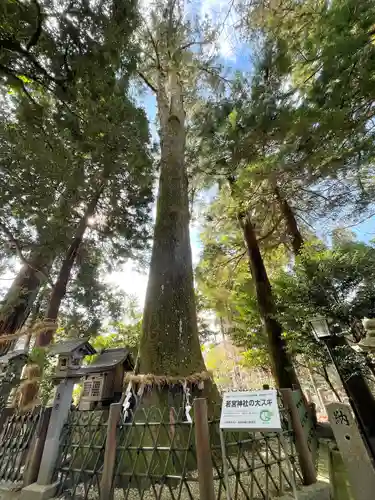 若宮神社(滋賀県)