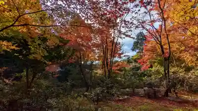 来迎院(京都府)