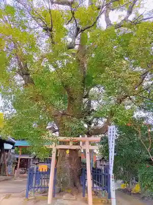 中山神明社の末社・摂社