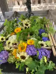 江南神社の手水