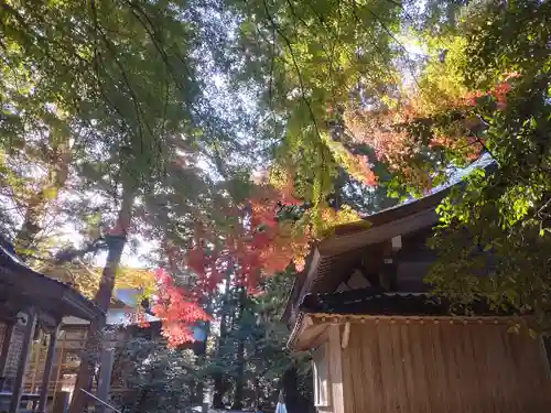 金剱宮(石川県)