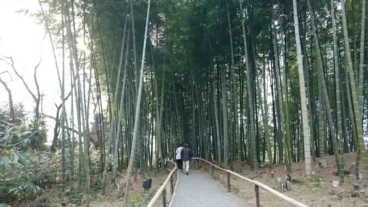 高台寺(高台寿聖禅寺・高臺寺)の周辺