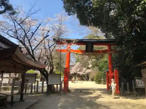 廣瀬大社の鳥居