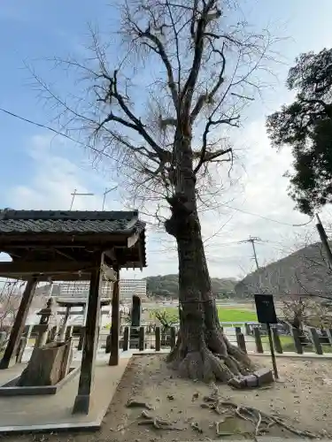 四所神社の{uncategorized: "未分類", other: "その他", undefined: "問題あり", building: "その他建物", grave: "お墓", sacred_gate: "鳥居", guardian: "狛犬", statue: "像", buddha: "仏像", history: "歴史", nature: "自然", garden: "庭園", animal: "動物", pagoda: "塔", temizu: "手水舎", mountain_gate: "山門・神門", sanctuary: "本殿・本堂", subordinate: "末社・摂社", art: "芸術", scenery: "景色", jizo: "地蔵", ema: "絵馬", goshuin: "御朱印", omikuji: "おみくじ", items: "授与品その他", amulet: "お守り", goshuincho: "御朱印帳", eats: "食事", festival: "お祭り", votive_dance: "神楽", shichigosan: "七五三参", wedding: "結婚式", experience: "体験その他", initially: "初詣", around: "周辺", anti_infection: "感染症対策"}