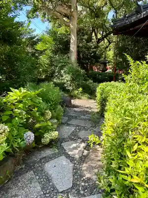 住吉大社(大阪府)