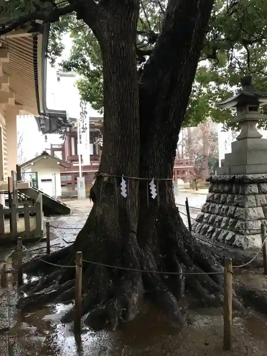 諏訪神社(東京都)