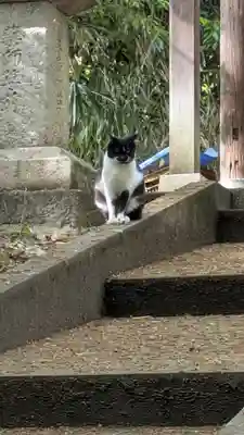 安福寺(大阪府)