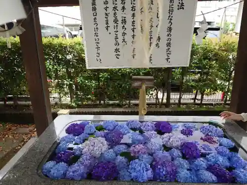 桜神宮(東京都)