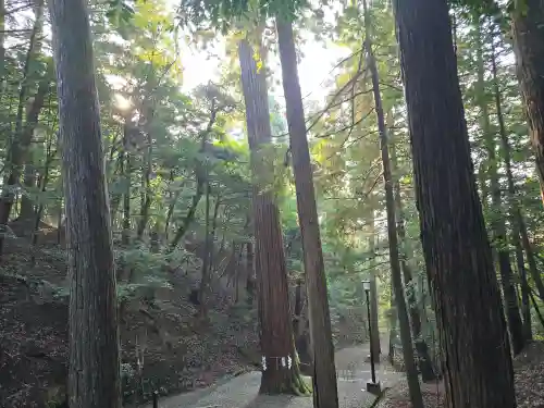 元伊勢内宮 皇大神社(京都府)