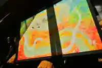 高龍神社(新潟県)